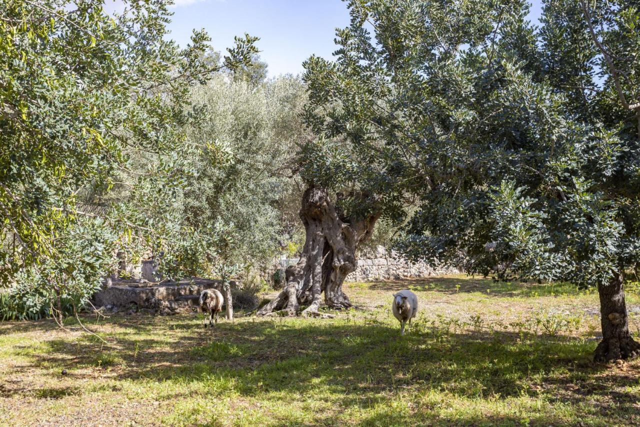 Finca Barons Bunyola Zewnętrze zdjęcie