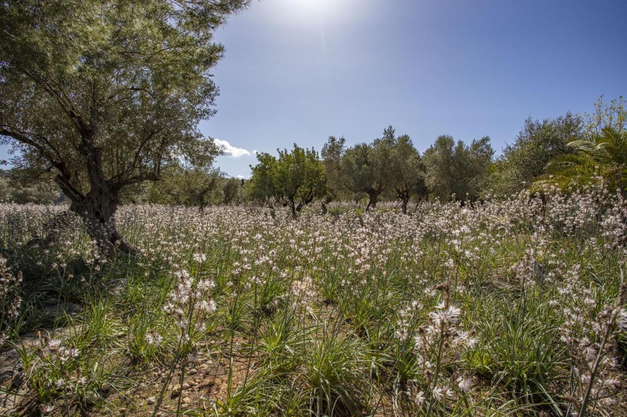 Finca Barons Bunyola Zewnętrze zdjęcie